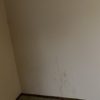 Need painter,plasterer to patch few walls